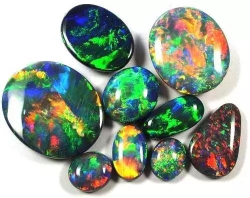 快来围观石英家族,颜值爆表