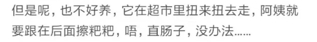 那些年舍友养过的奇葩宠物,你们身边的人都养什么奇怪的宠物