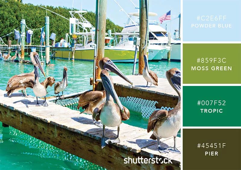 100个经典设计配色,设计师钟爱的9组高级感配色方案