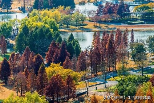 上海佘山国家森林公园日本雕像,上海佘山国家森林公园最新通告