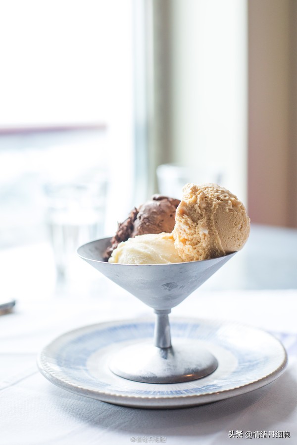 邮轮游选择哪个游轮好,邮轮旅游全攻略公主号