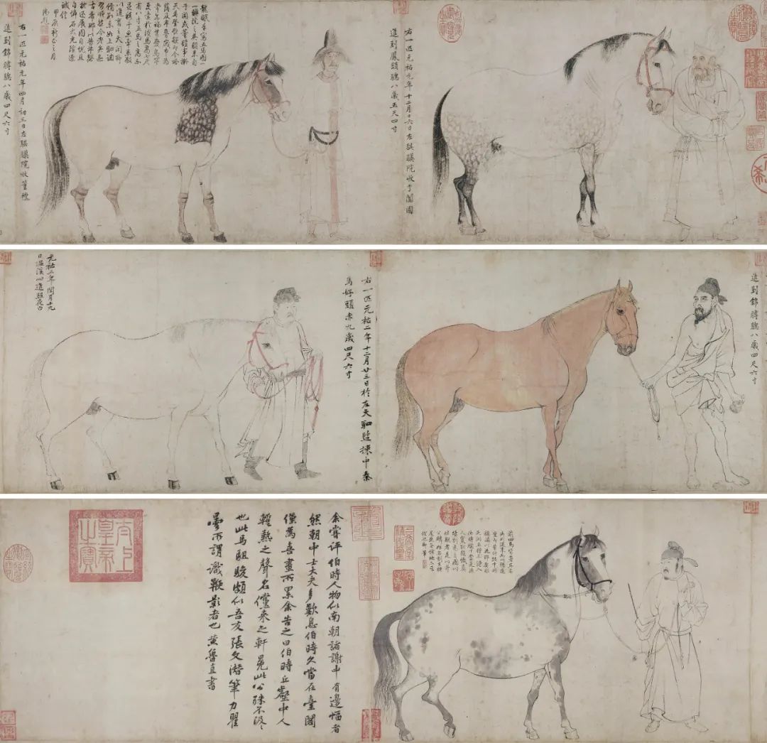 画事,画事视频大全完整版