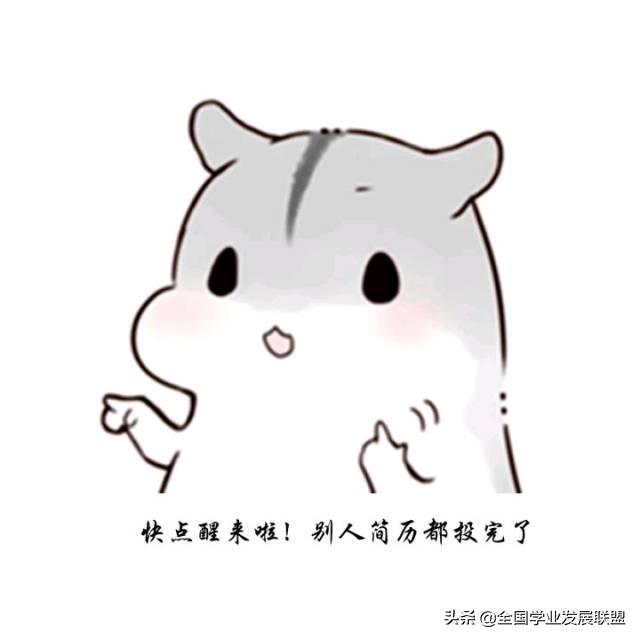 如何写一份完美的简历模板,怎么写出一份好的简历