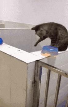 “兄弟睡觉压得胳膊都变色了，要不要叫醒他？”醒来一定很酸爽