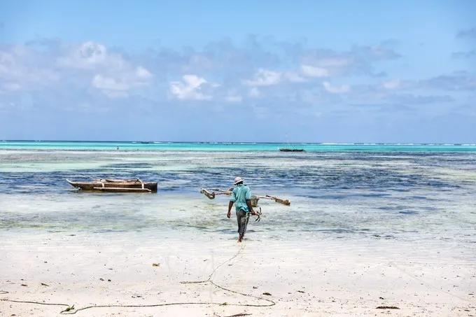 坦桑尼亚之旅,坦桑尼亚东非草原