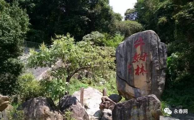 永春的春天是一个异常美丽的地方,永春有哪些地方