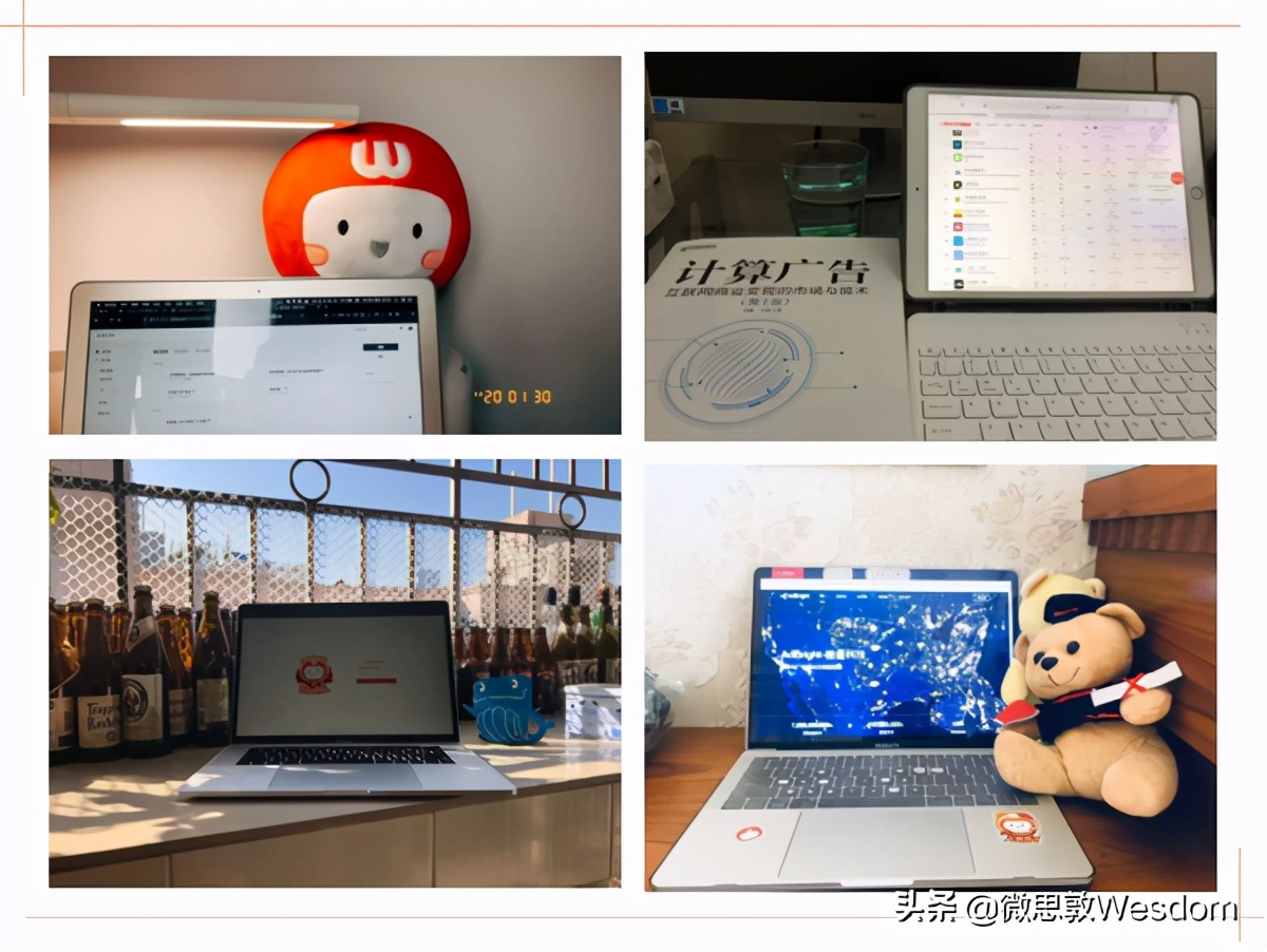 不负岁月未来可期下一句,不负岁月不负韶华未来可期