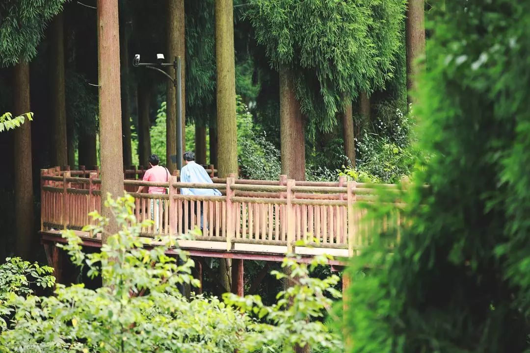 千人亲子运动会圆满成功,亲子健康跑活动方案