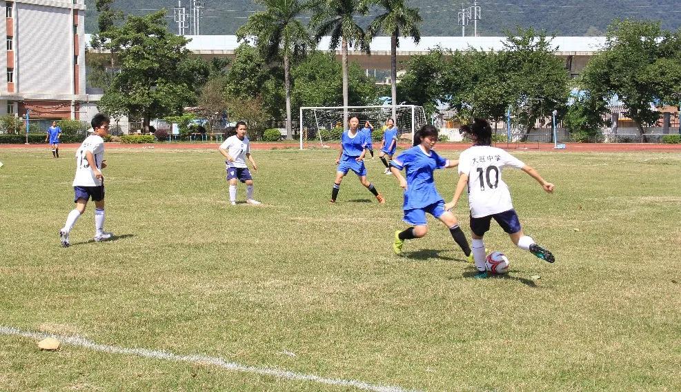 2024肇庆市青少年足球邀请赛,肇庆新区广东省青少年足球锦标赛