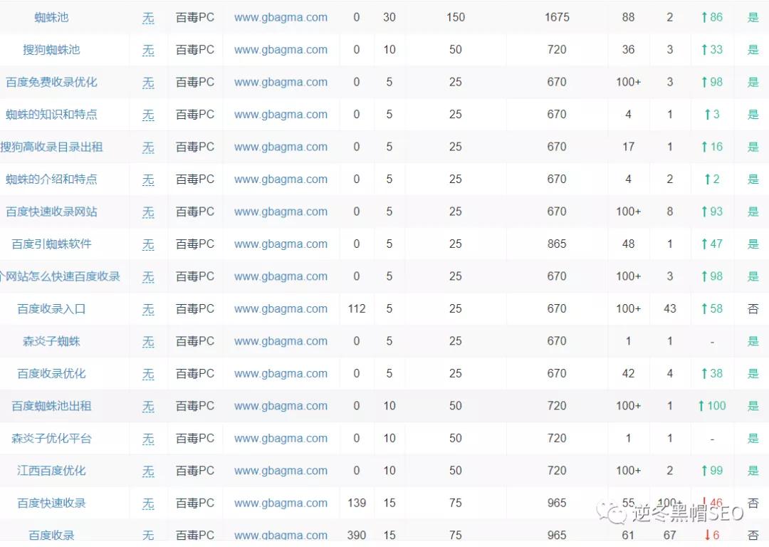 逆冬：我是如何把蜘蛛池这个词做到首页的「真实记录」
