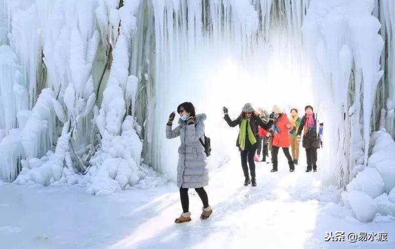 元旦怎么过才好看,没休息的元旦怎么过