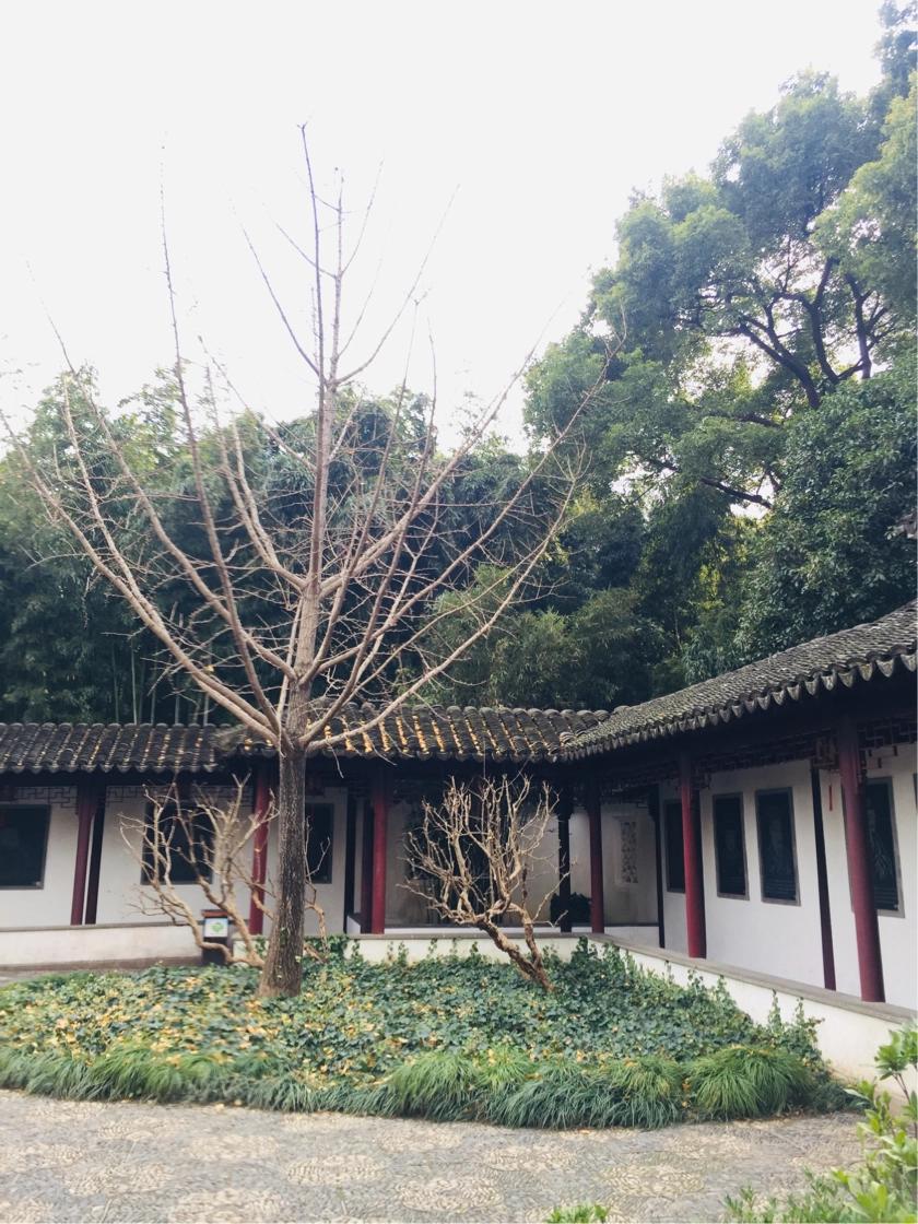 上海古猗园餐厅,上海古猗园详细地址