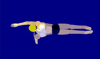 怎么游泳燃脂效率最高,游泳燃脂的正确方法