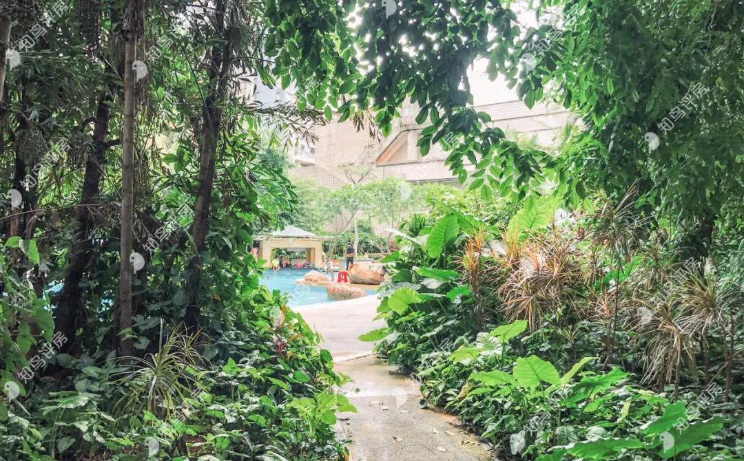 长安霄边中惠新城,东莞长安中惠新城