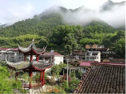 浙江传统村落:松阳李坑村,被美誉为生态旅游,绿色氧吧的村落