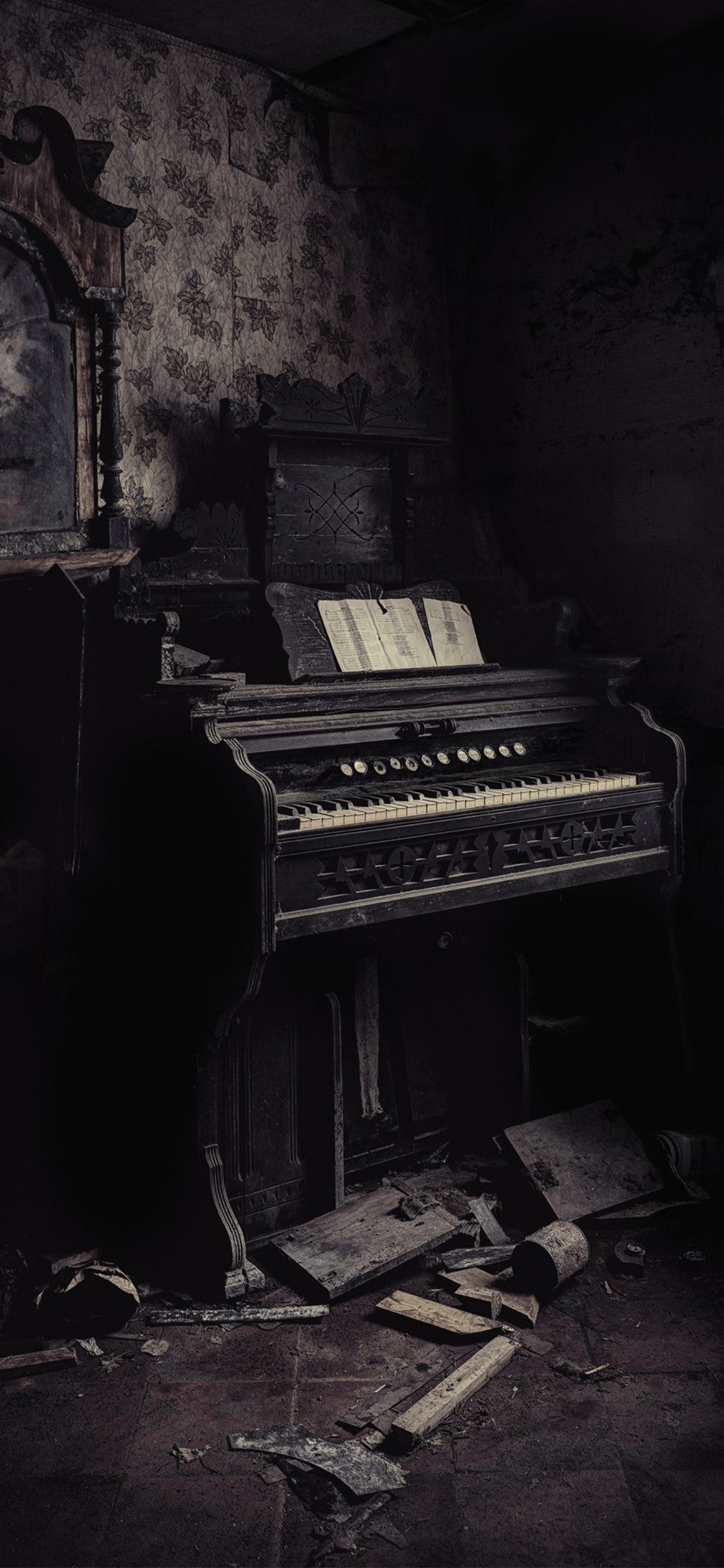 壁纸来了分享图,壁纸来了梵高