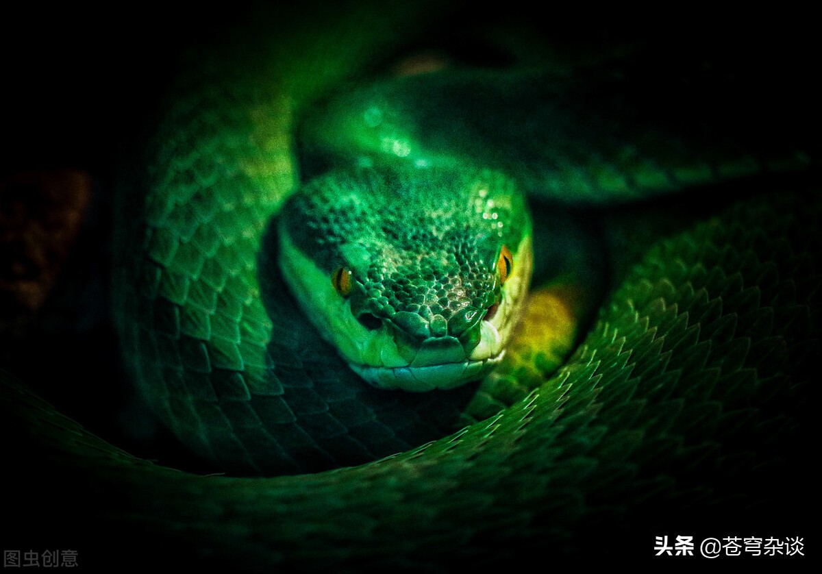 中医奇闻阴阳人,关于中医的奇闻趣事