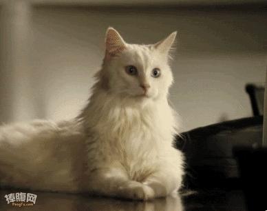 葡萄糖为什么叫gn,葡萄糖为啥叫单糖