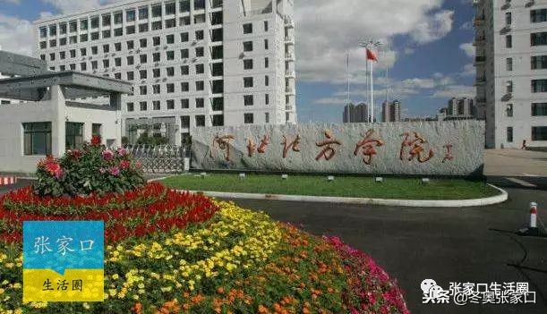 张家口最近有什么好消息,今日张家口新消息