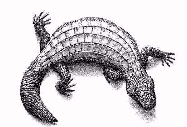 素描创意风景,创意性素描图片100张