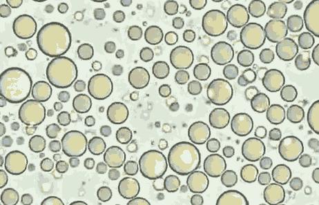 母乳在显微镜下的样子,解冻母乳在显微镜下放大1000倍