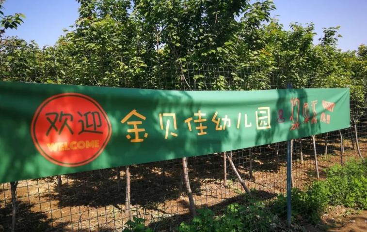 轻资产小农场,40平方小农场