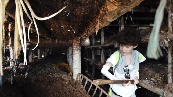 澳牧随知盘中餐,澳牧谁知盘中餐澳牧