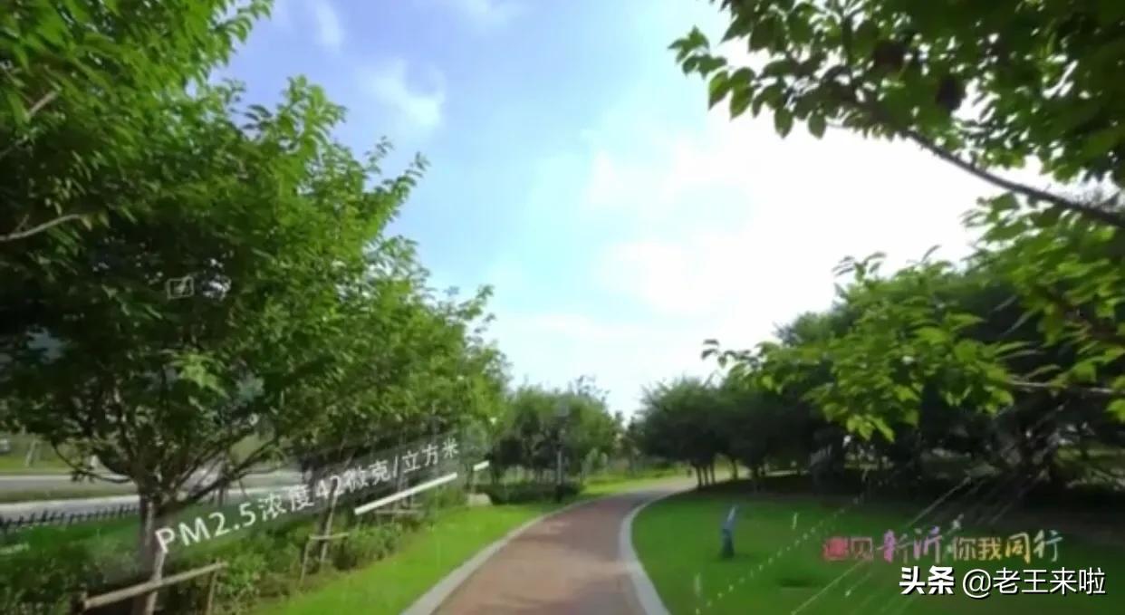 全省最美!新沂城市水环健身步道入围!