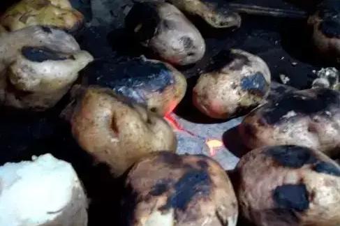 土家族的民风民俗饮食,土家族的饮食风俗图片