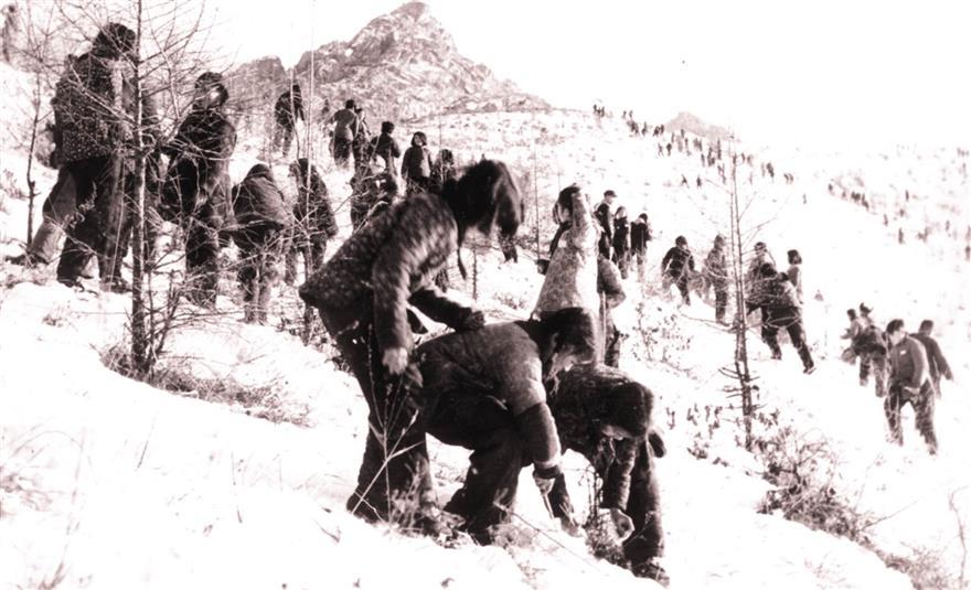 抗美援朝期间，中朝军民进行的反细菌战斗争，是中国的虚假宣传吗