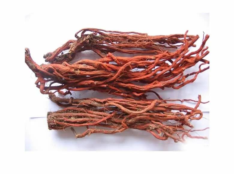 每天学习一味中药丹参,每天学习一味中药三七