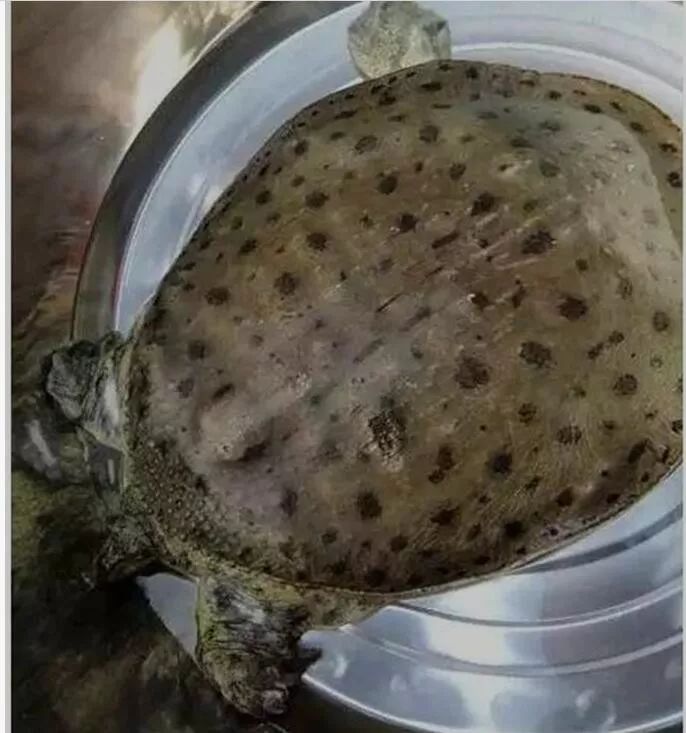 独家揭秘:佛教传播的见证——妙峰山及寿圣院考(作者:崔学法)