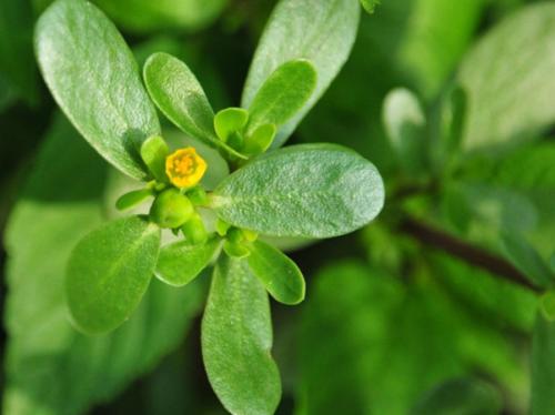 冬季敷面膜的正确方式,冬天敷面膜的好处