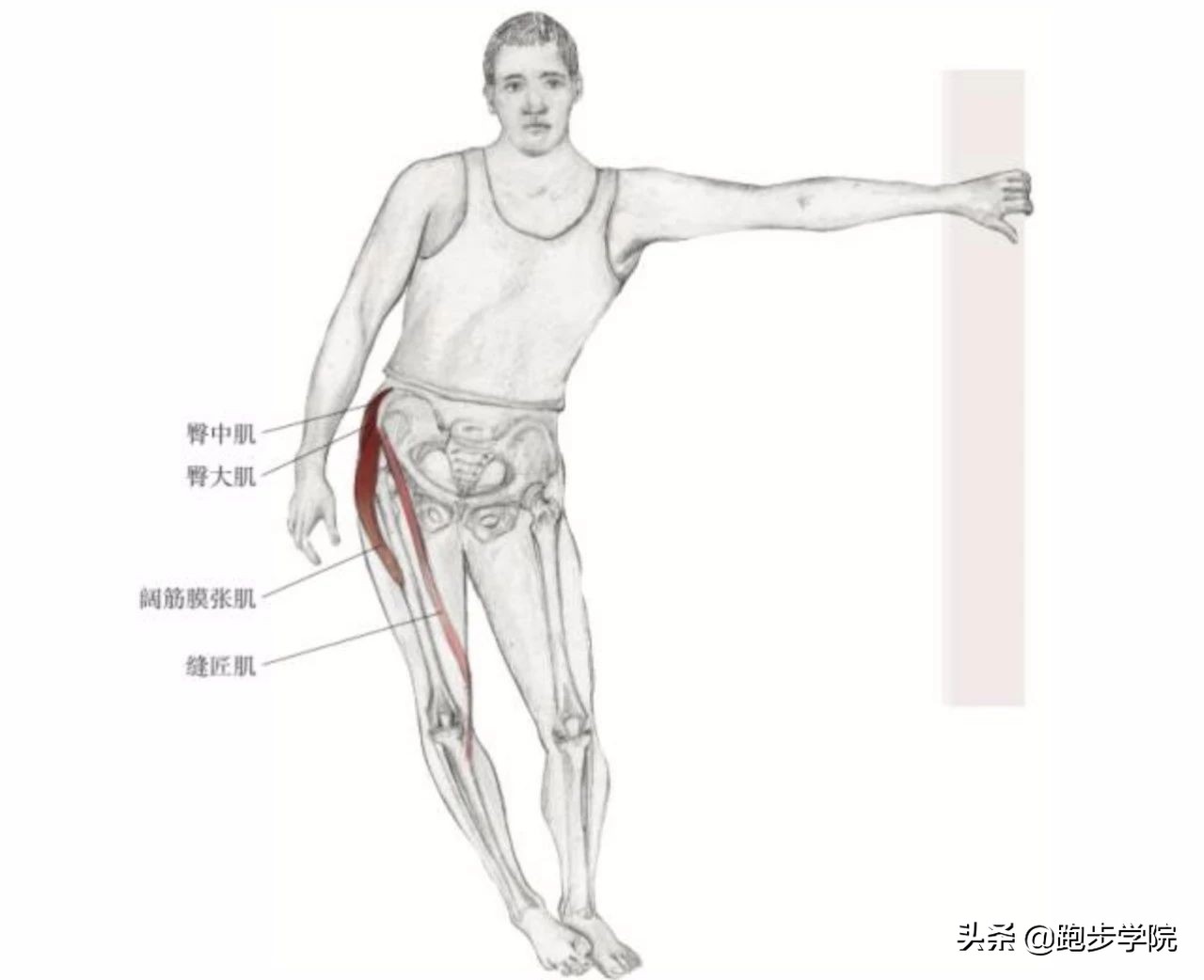 跑步膝盖疼痛自检,跑步大神们初跑时有膝盖疼的问题
