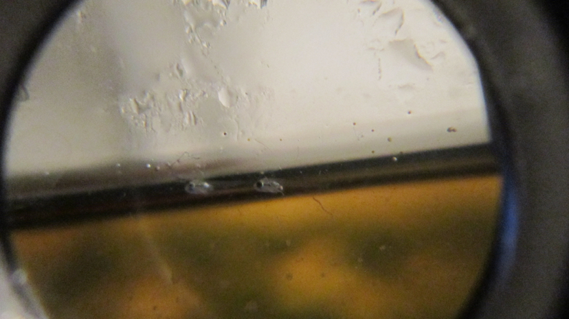 鍥芥枟绻佹畺娉版枟,娉版枟鍏瘝绻佹畺