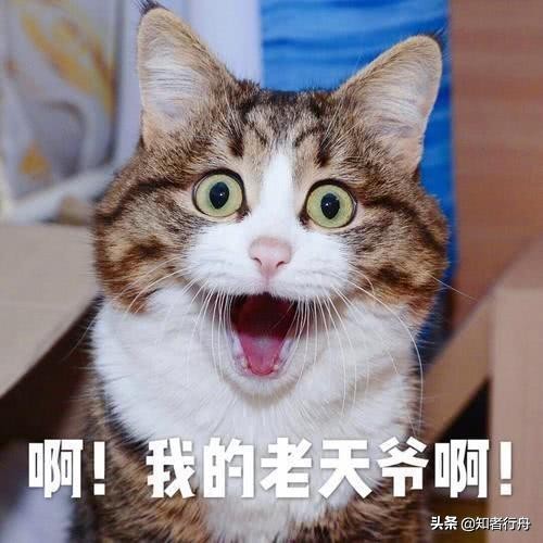 境外取现哪个银行卡最划算,出境旅游补贴政策