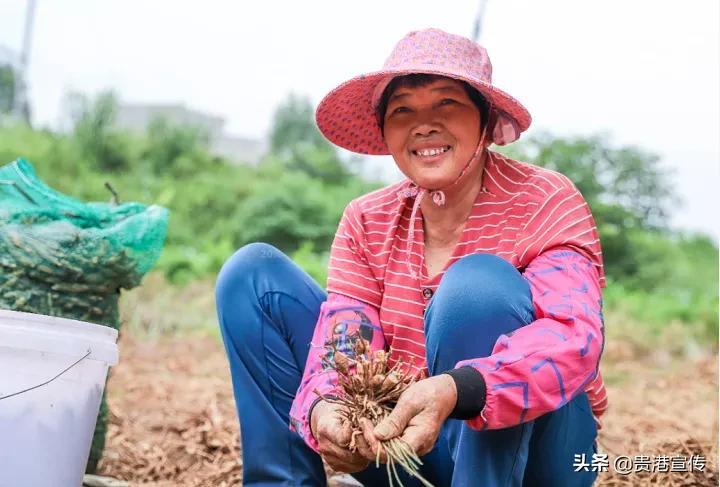 贵港十大旅游村,贵港古镇古村落有哪些景点
