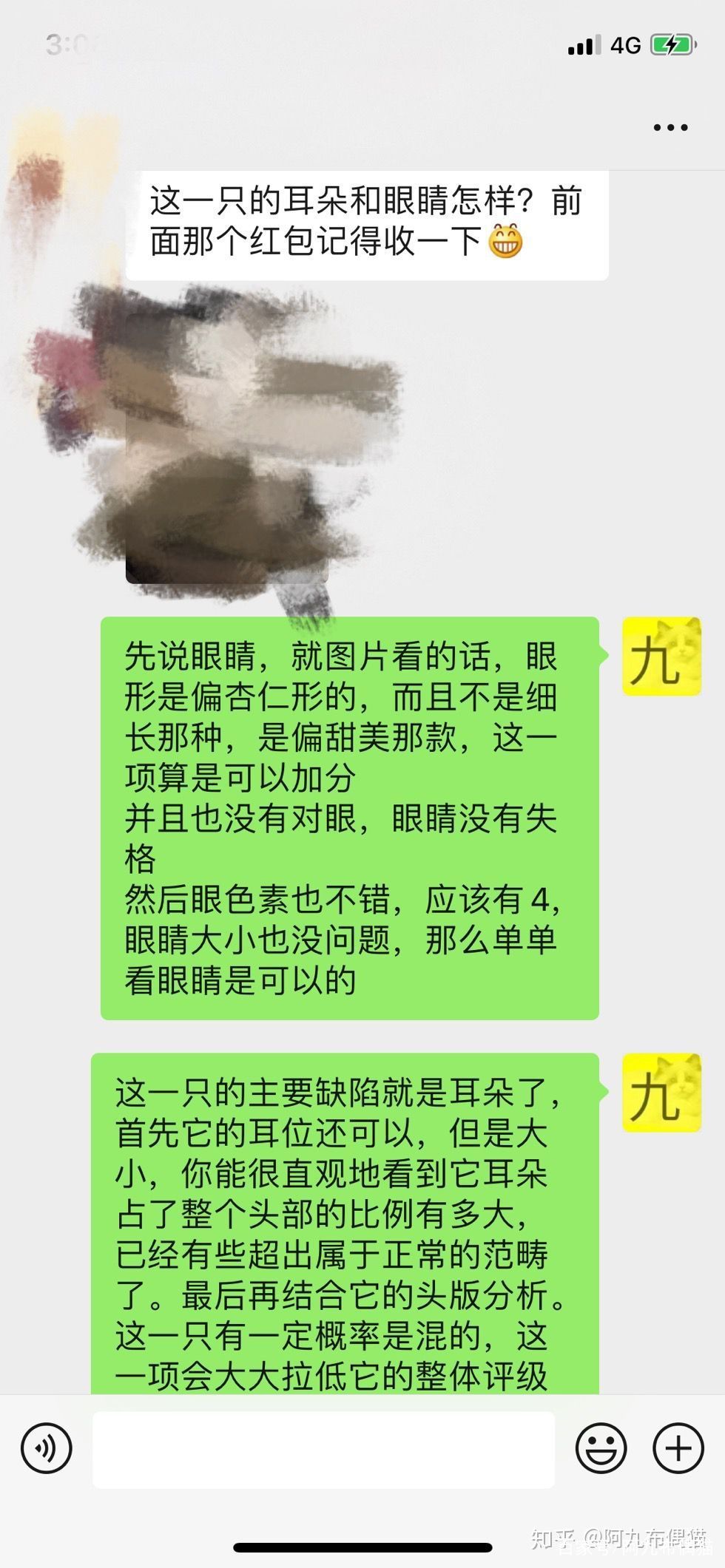 布偶猫舍推荐买什么猫粮,正规布偶猫舍推荐及其地理位置