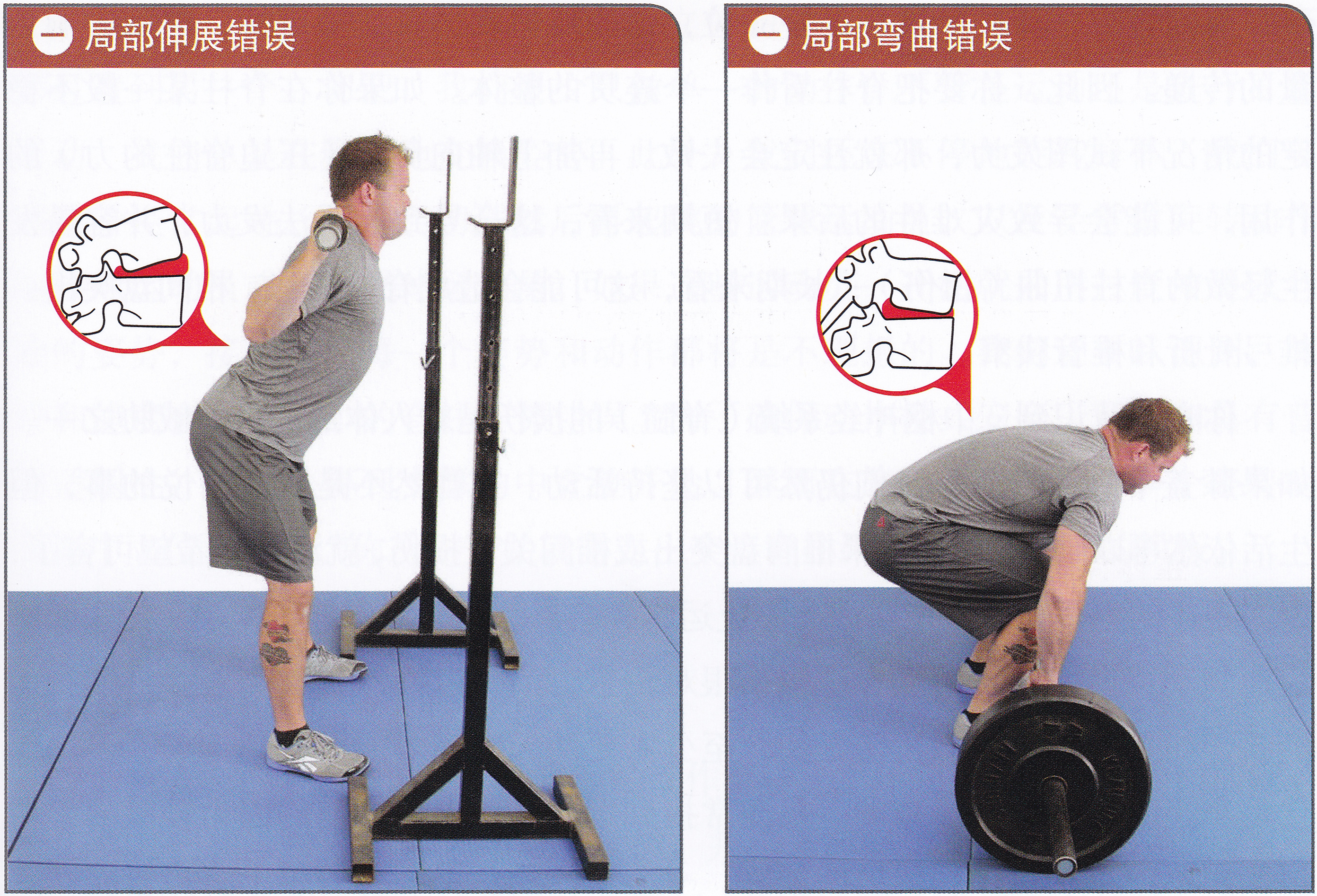 脊柱保持中立位是什么意思,脊柱中立位的标准动作