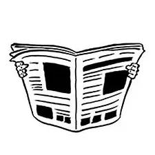 养猫知识哪些植物不能养,养猫必备知识100条