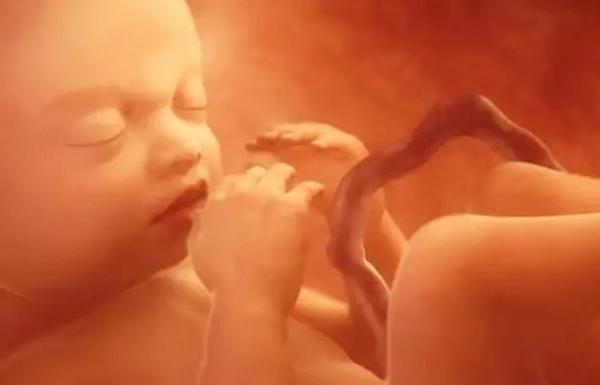 子宫有点薄有事吗,子宫又小又薄怎么回事