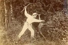 美国大兵在阿富汗留下多少混血儿,澳大利亚士兵屠杀阿富汗