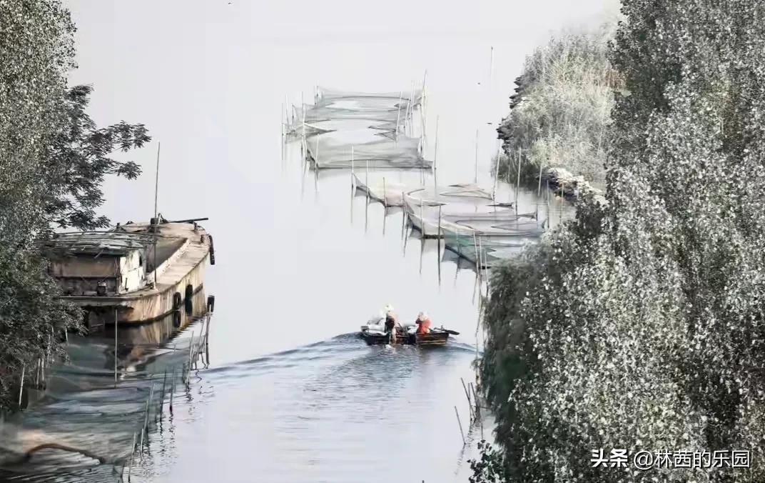 原创最美七绝山水诗词,顶级绝美的山水诗词