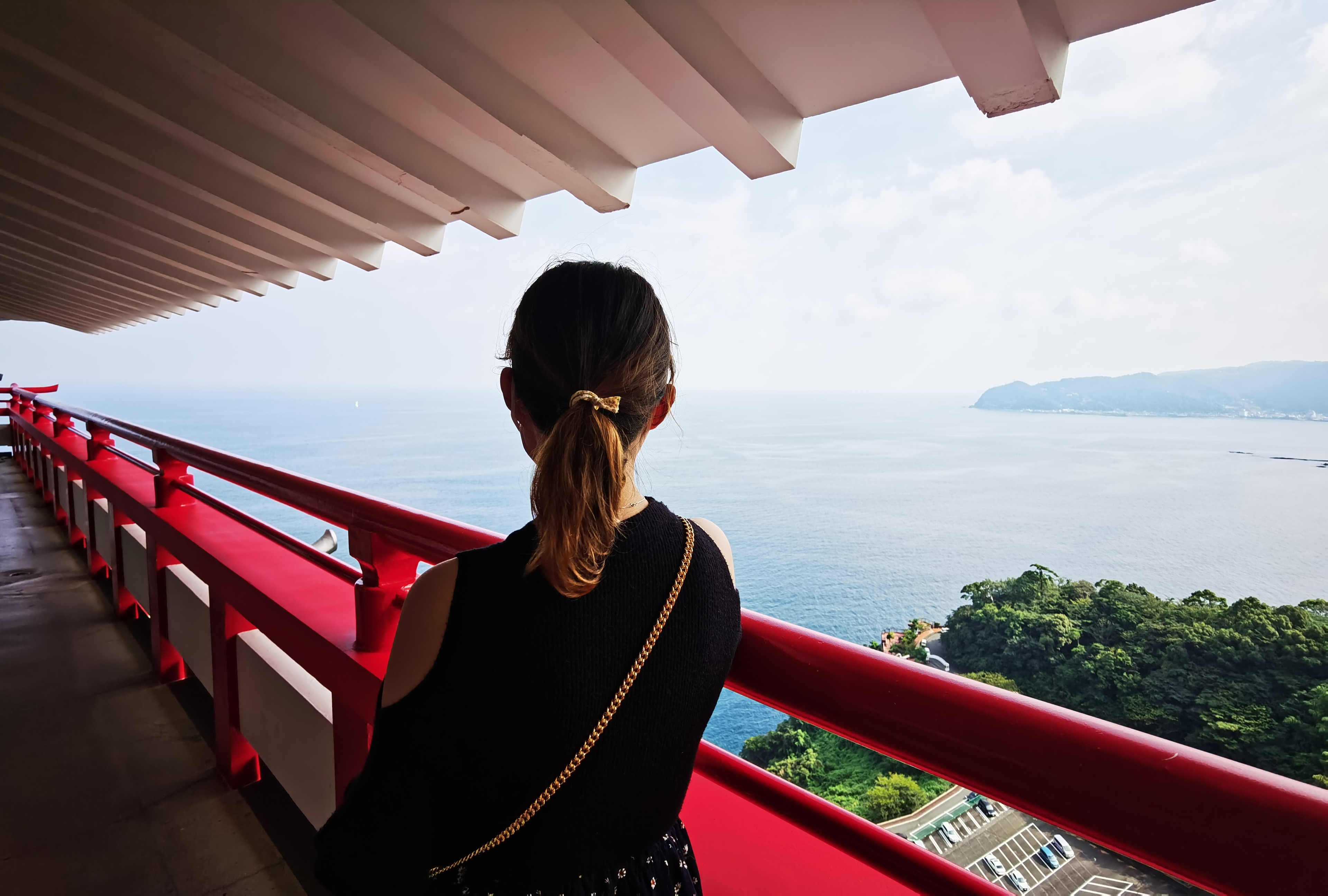 在日本用中国移动流量吗,在日本使用中国移动流量包