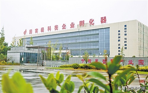 加速产业优化升级构筑宁陵经济发展新体系