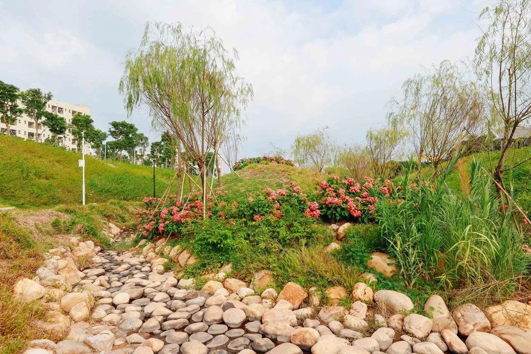 簕竹杜鹃谷公园,好看的杜鹃谷公园