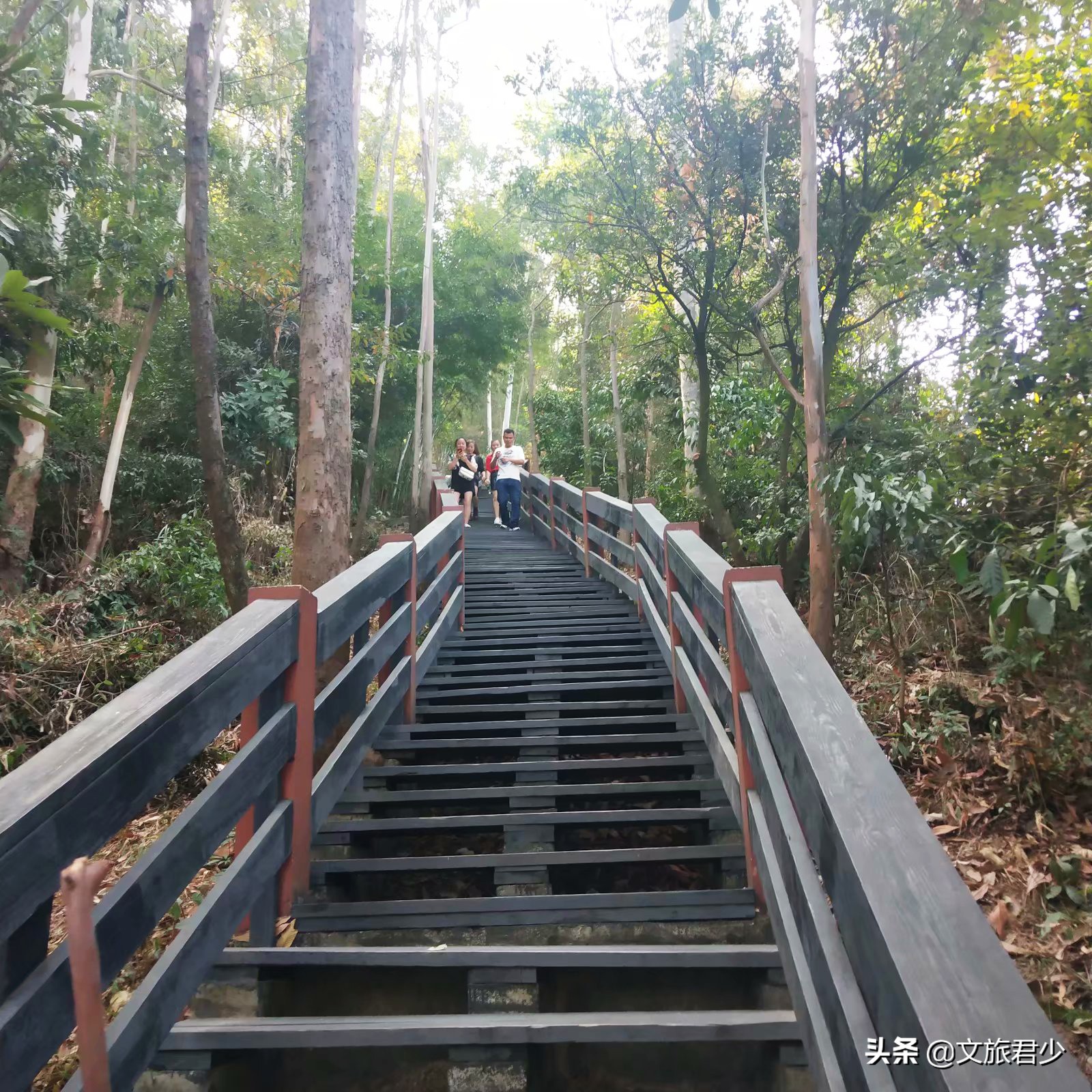 水濂山森林公园景点,东莞水濂山森林公园景点介绍