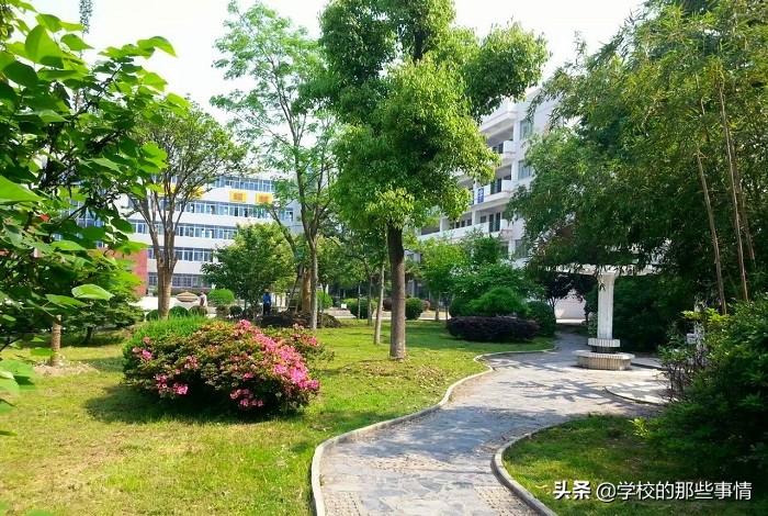 安徽学霸多,安徽高考第一名学霸