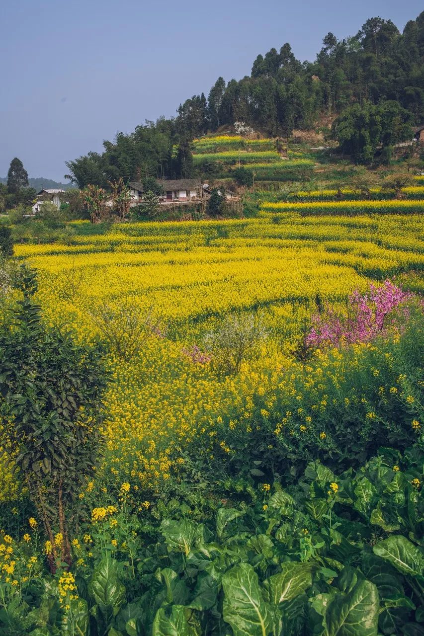 有生之年一定要去四川吗,年轻时不能去四川吗