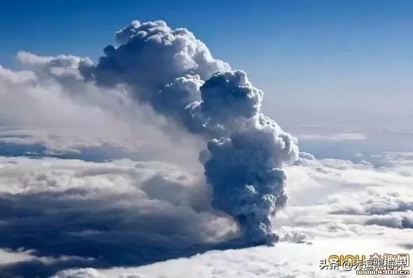 山海经中的扶桑与青铜神树,山海经扶桑树是史前文明